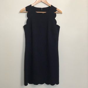 Scalloped Navy J. Crew Mini Dress